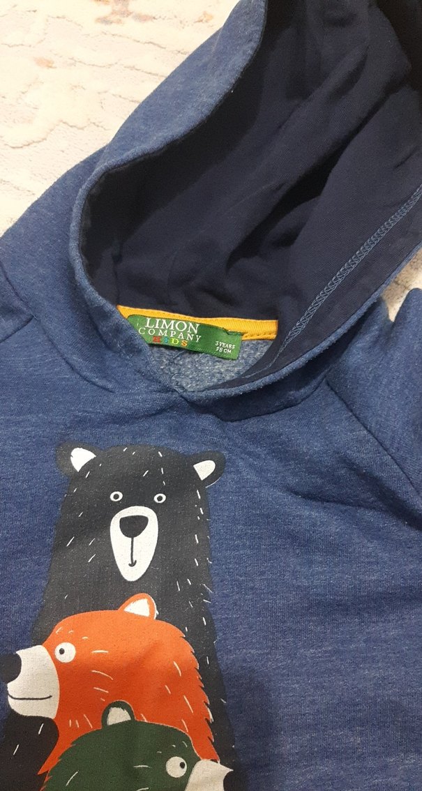 Erkek Çocuk Mavi Kapüşonlu Sweatshirt - Görsel 2