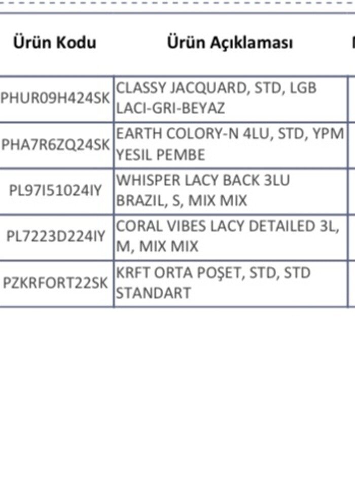 Penti lacy dantel tanga üçlü - Görsel 4