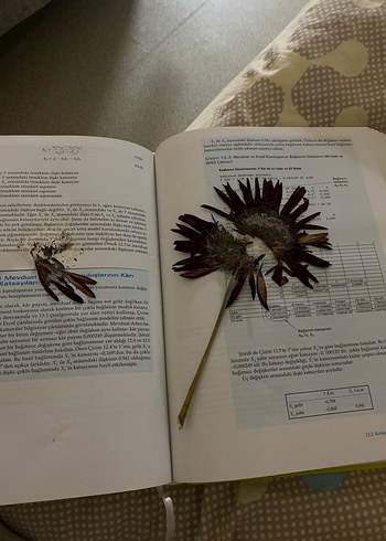 İşletme ve İktisat İçin İstatistik Kitabı paul Newbord - Görsel 3