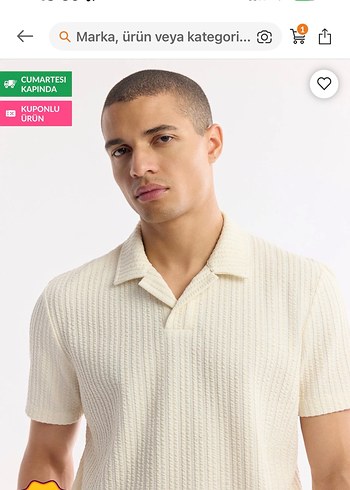 Bej Kısa Kollu Polo Yaka Erkek Tişört Avva - Görsel 2