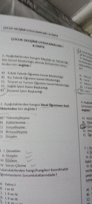  Beden Renk CS 4. Sınıf güz çocuk gelişimi 