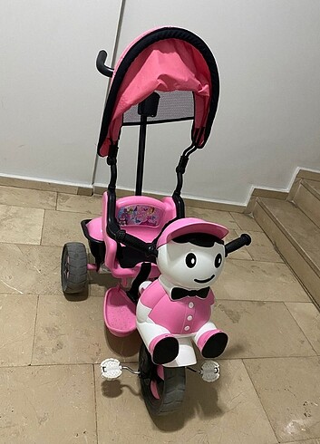 Beden Renk Panda bisiklet