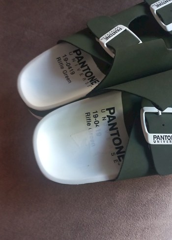 Pantone erkek Terlik - Görsel 5