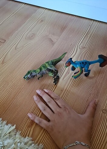  Beden Tyranosaurus 