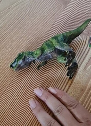  Beden Renk Tyranosaurus 