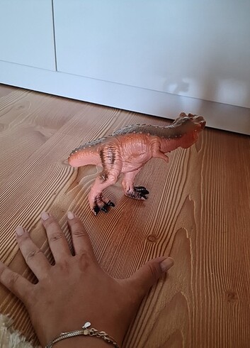  Dinozor