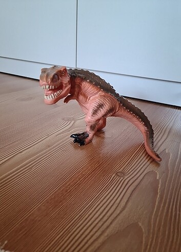  Beden Dinozor