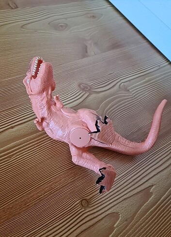  Beden Renk Dinozor