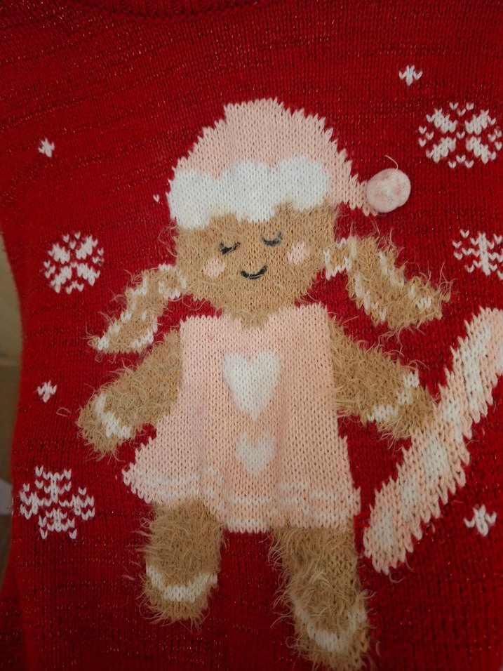 Nakışlı Kız Çocuk Kırmızı Triko Kazak - Görsel 3