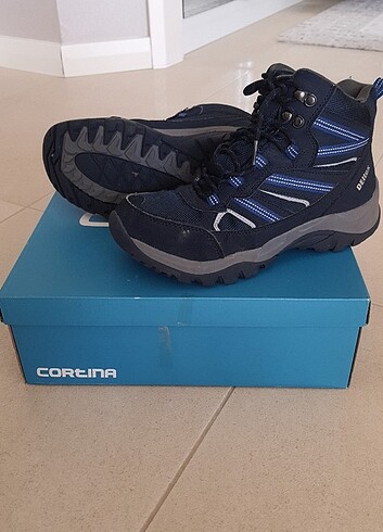 Cortina bot