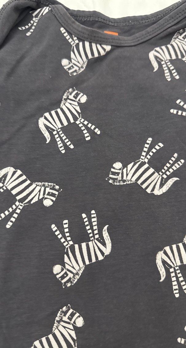 Kısa Kollu Zebra Desenli Bebek Body - Görsel 2