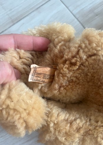 Ugg UGG australia