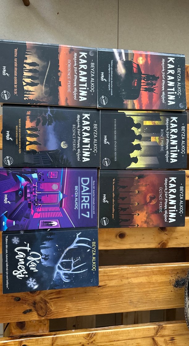 Beyza alkoç Karantina seti + 2 farklı kitabı birden - Görsel 2