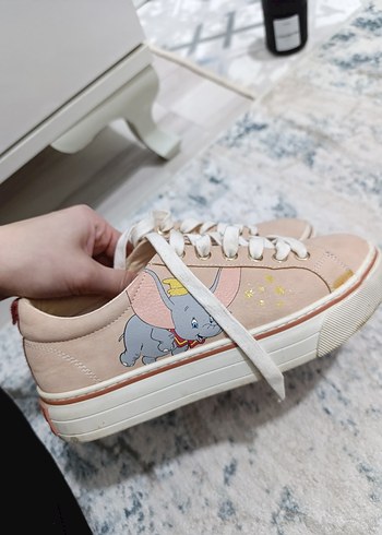 Walt Disney World 37