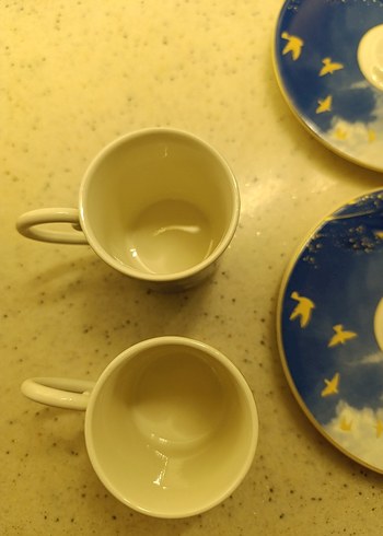 Mavi Tüy ve Kuş Desenli Fincan Takımı - Görsel 4