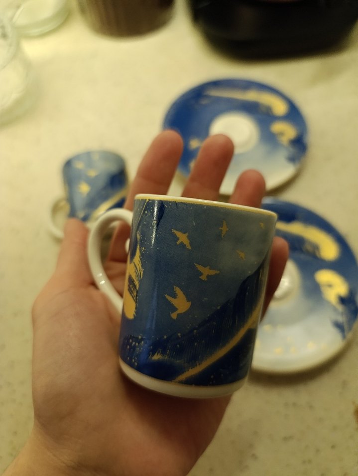 Mavi Tüy ve Kuş Desenli Fincan Takımı - Görsel 3