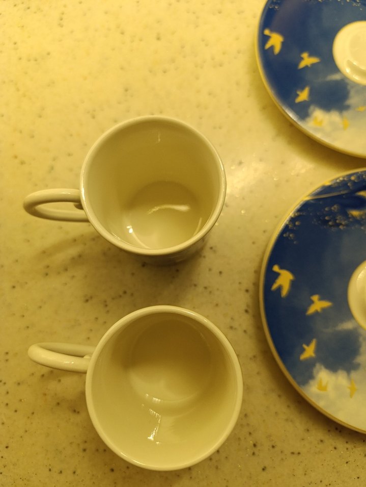 Mavi Tüy ve Kuş Desenli Fincan Takımı - Görsel 4