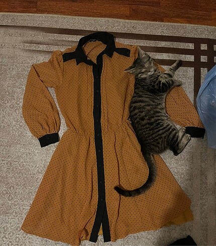 Zara Kadın şifon elbise