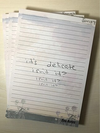 Taylor Swift Defter