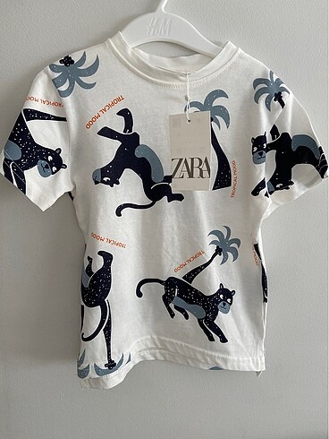 Zara Tshirt