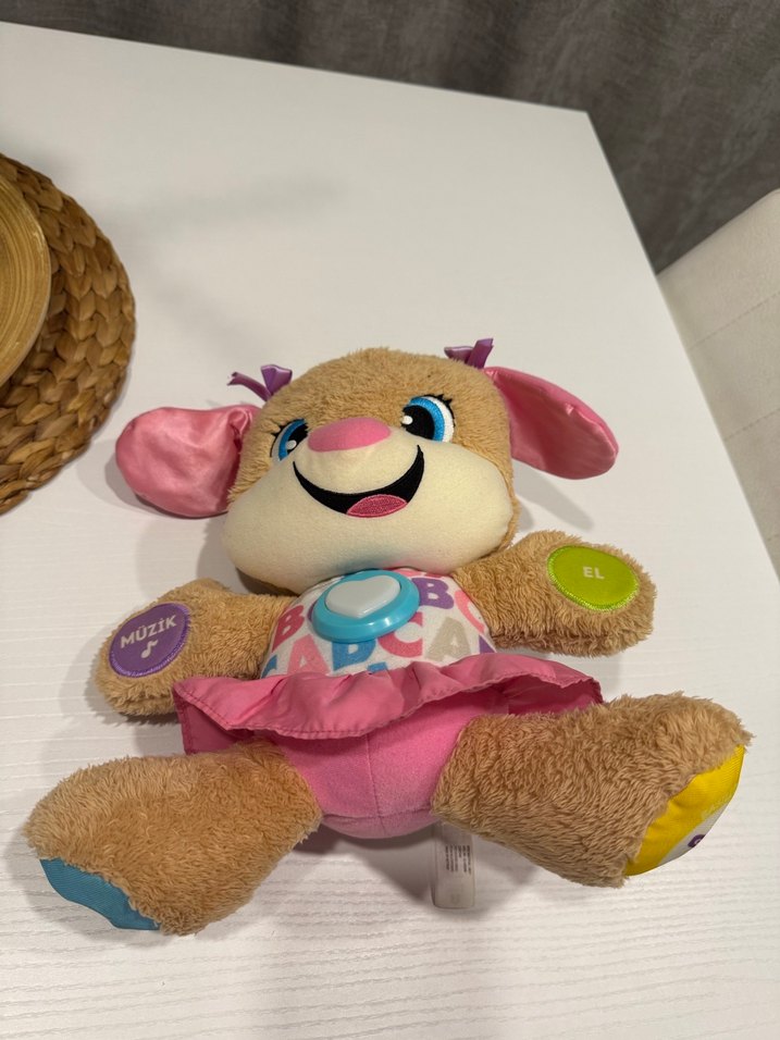 Renkli Eğitici Peluş Köpek Oyuncak - Görsel 3