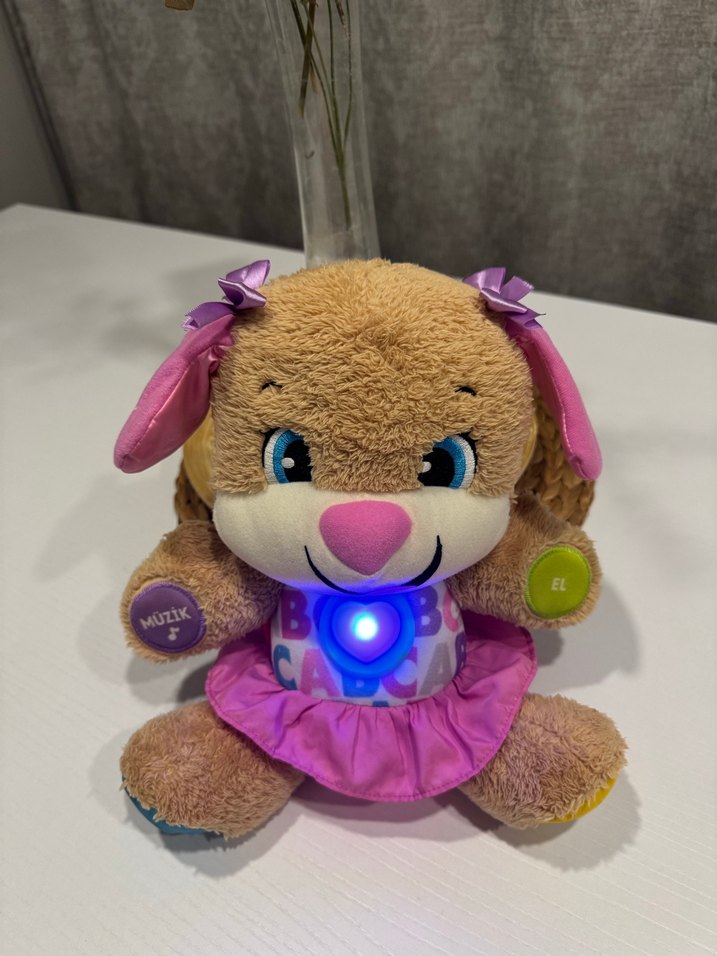 Renkli Eğitici Peluş Köpek Oyuncak - Görsel 2