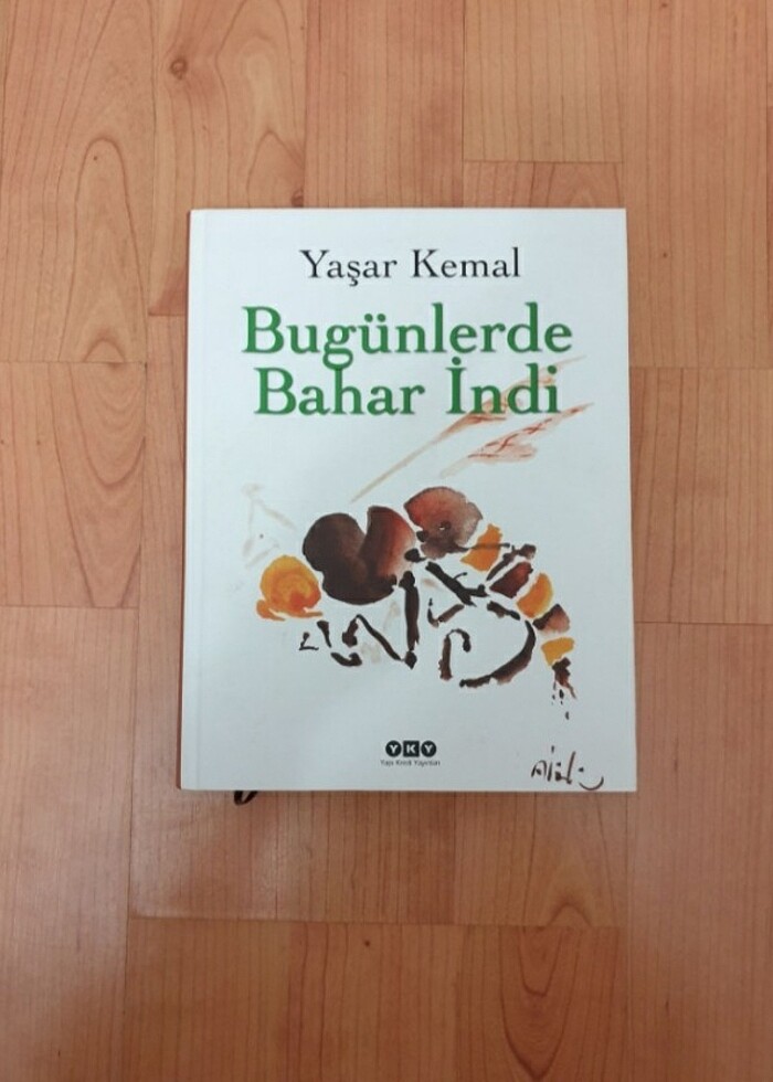 Numaralı Ciltli Özel Baskı 13 KİTAP - Görsel 2