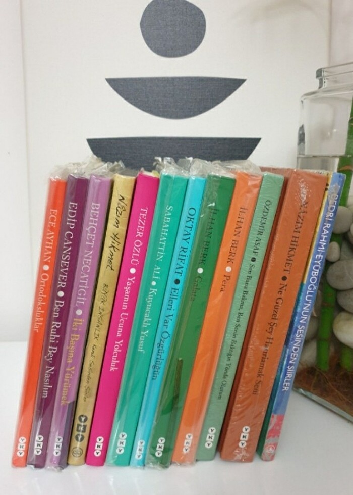 Numaralı Ciltli Özel Baskı 13 KİTAP - Görsel 3