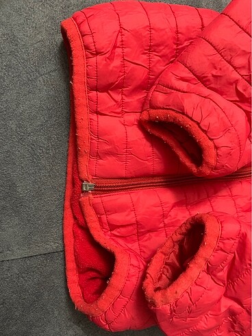 12-18 Ay Beden kırmızı Renk Unisex mont