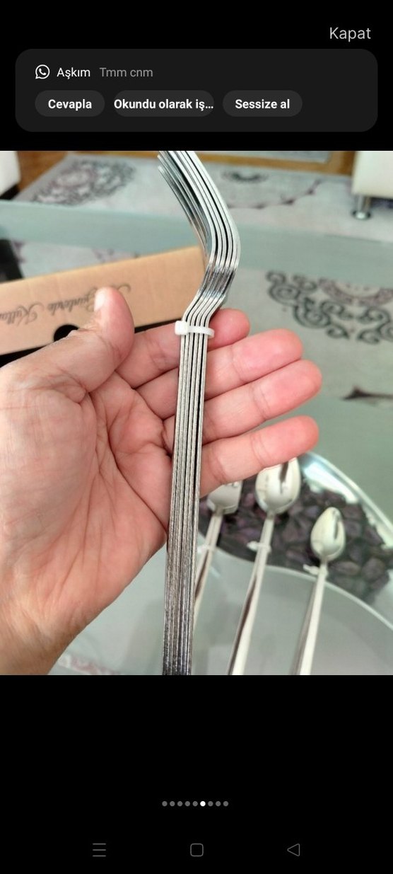 60 Parça 12 kişilik Çatal Kaşık Seti - Görsel 5