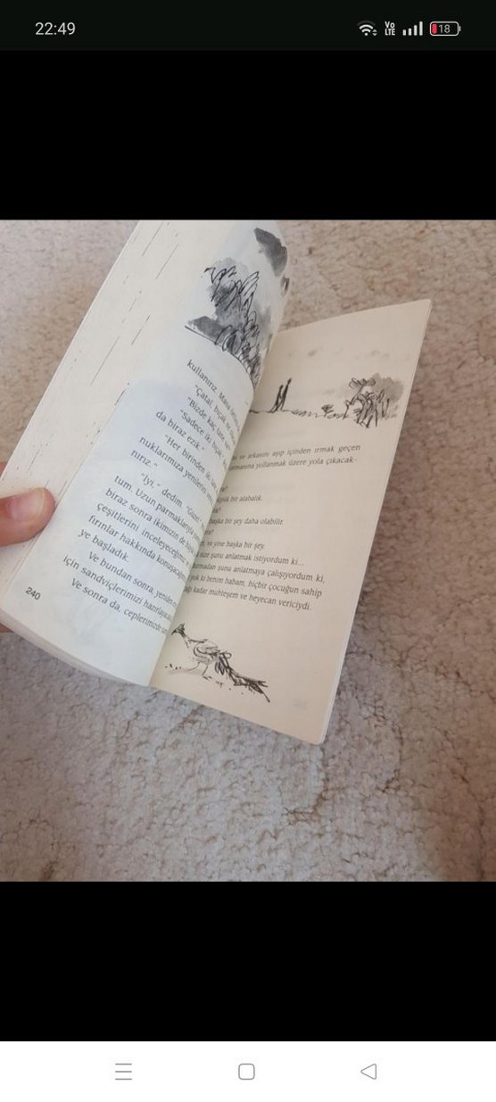 Roald Dahl - Dünya Şampiyonu Danny Kitabı - Görsel 2