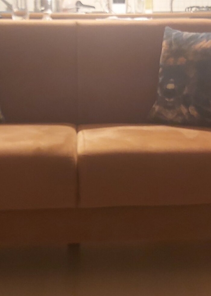 Dogtas 2 li koltuk - Görsel 3