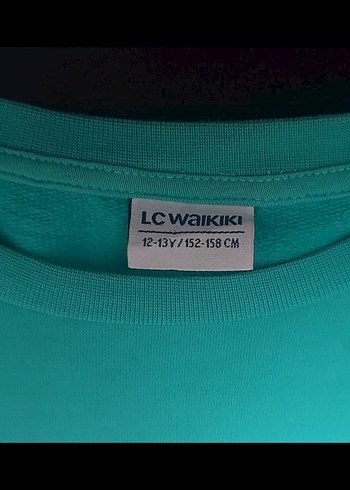 Turkuaz Baskılı Erkek Sweatshirt - Görsel 2