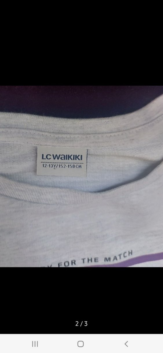 Erkek Gri Uzun Kollu Baskılı Sweatshirt - Görsel 2