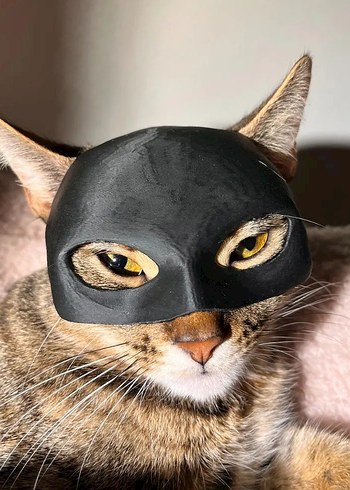 Kedi Catwoman Maskesi
