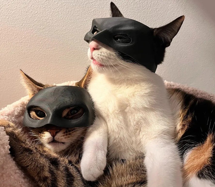 Kedi Catwoman Maskesi - Görsel 2