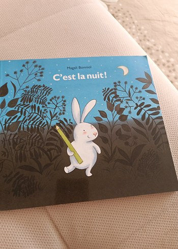 C'est la nuit! Resimli Sanat Kitabı
