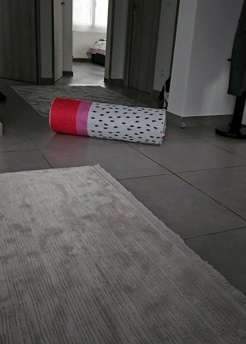 Kedi Oyuncak Tüneli