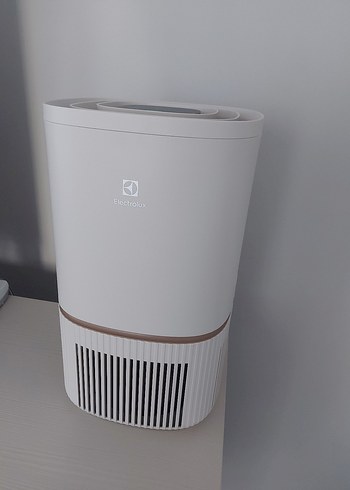 Beyaz ve Gri Electrolux Hava Temizleyici ve Nemlendirici - Görsel 3
