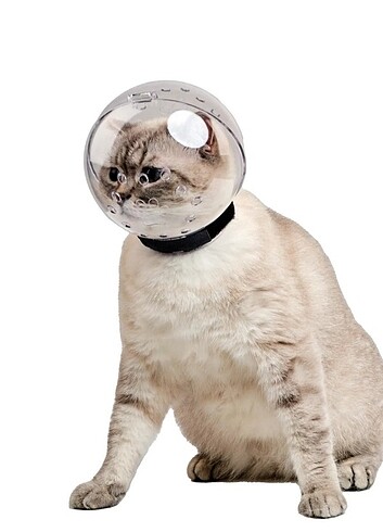 Beden Kedi kafa başlığı