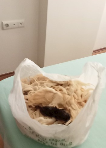 Beden yastıklık yün temiz 1.700 kg