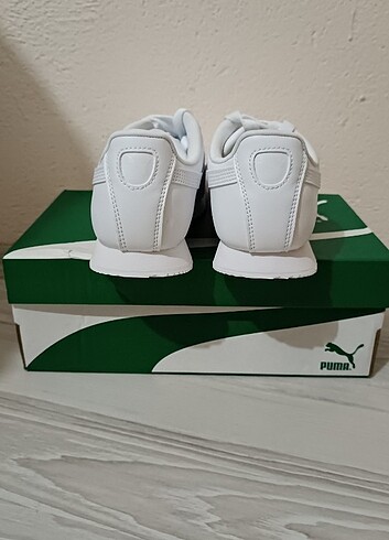 Puma Pumaa