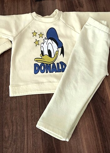 Donald Duck Takım 