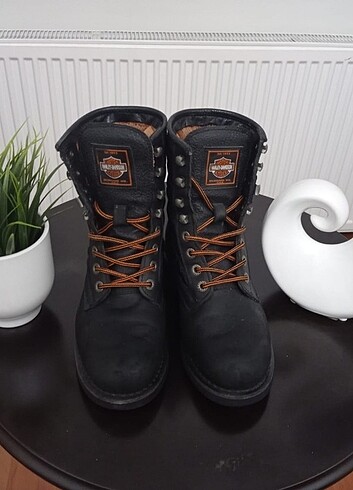 Harley Davidson Tertemiz Harley Bot