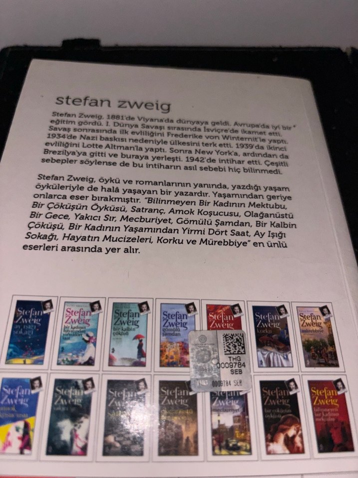 Ay Işığı Sokağı - Stefan Zweig - Görsel 2