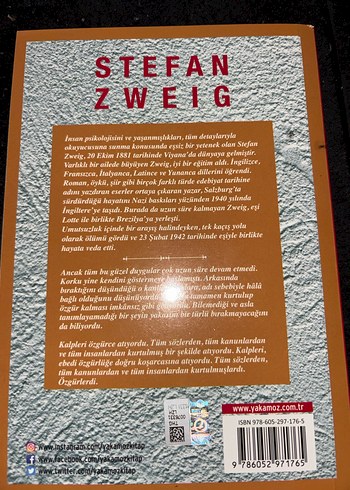 Stefan Zweig - Mecburiyet Romanı - Görsel 2