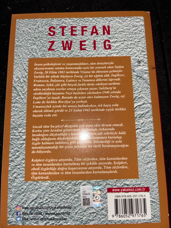 Stefan Zweig - Mecburiyet Romanı - Görsel 2