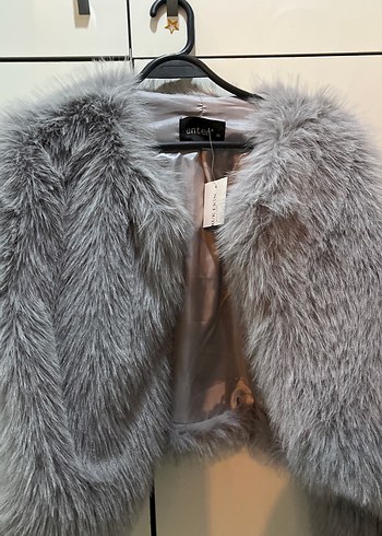 gri kürk - Görsel 2