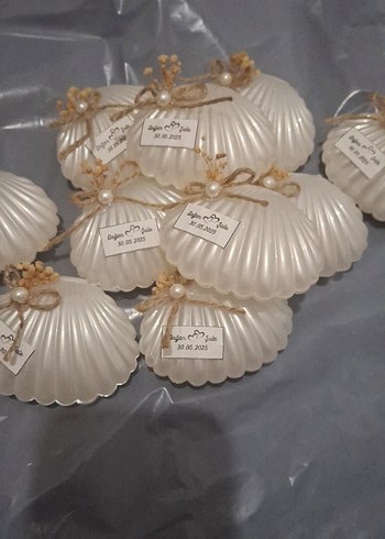 Beden Renk İncili Deniz Kabuğu Nikah Şekeri