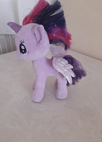 Poniy